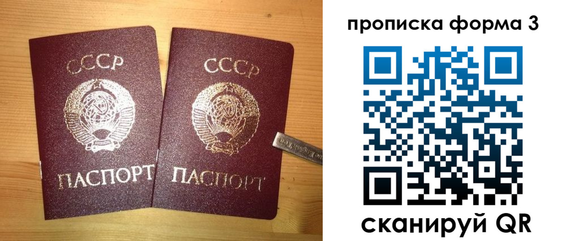 прописка иностранных граждан в Мордовии
